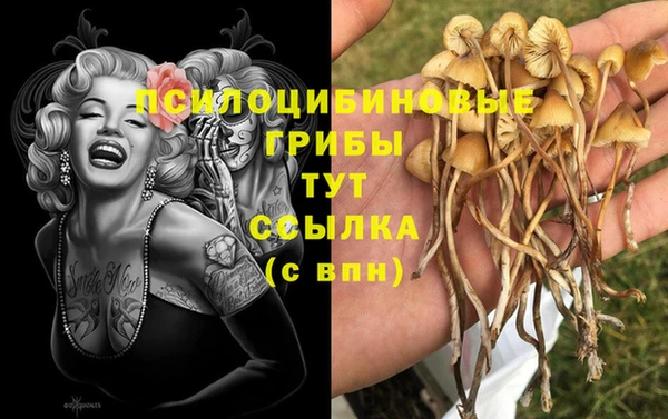 прущая мука Саяногорск
