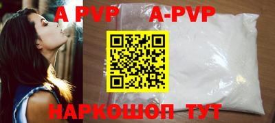 стаф Берёзовский
