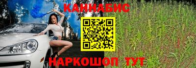 стаф Берёзовский