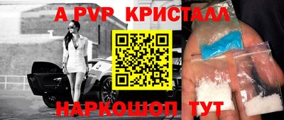 твердый Бийск