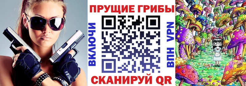 дарнет шоп  KRAKEN маркетплейс  Псилоцибиновые грибы Magic Shrooms  Кольчугино 
