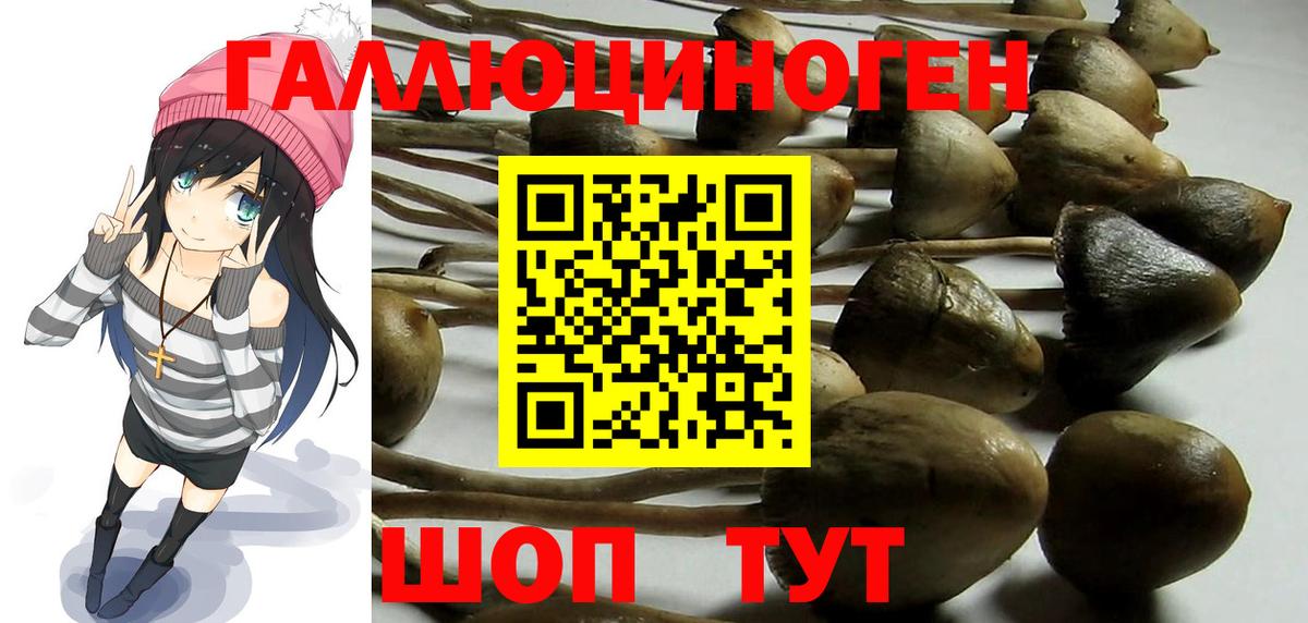 Псилоцибиновые грибы мухоморы  Вход с VPN  Кольчугино  Галлюциногенные грибы Magic Shrooms 