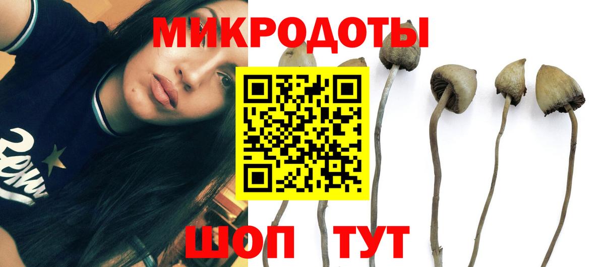 Псилоцибиновые грибы MAGIC MUSHROOMS Кольчугино